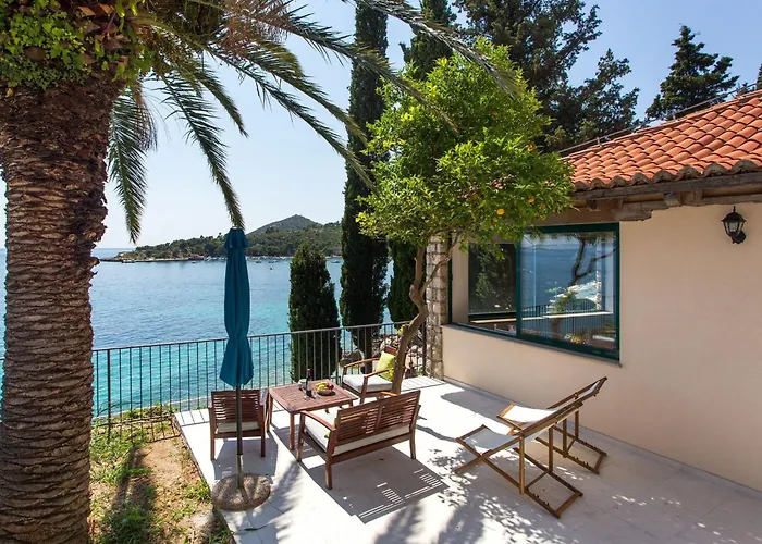 Apartamento With 1 And Terrace