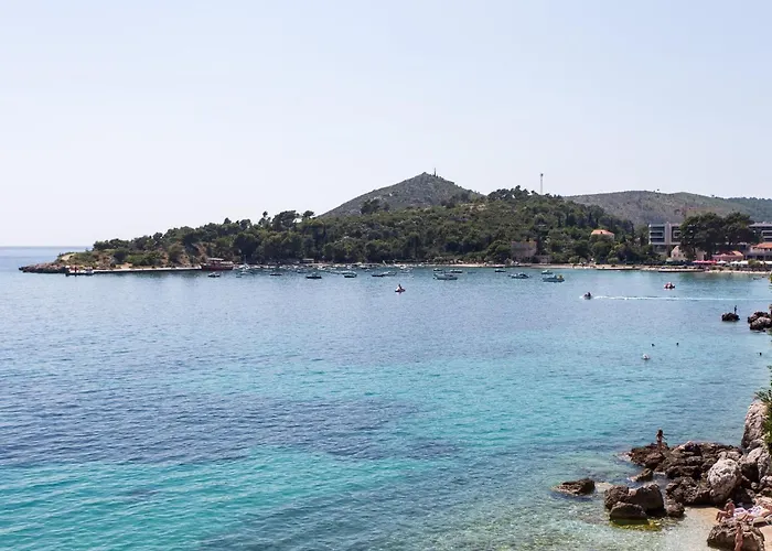 With 1 And Terrace מליני